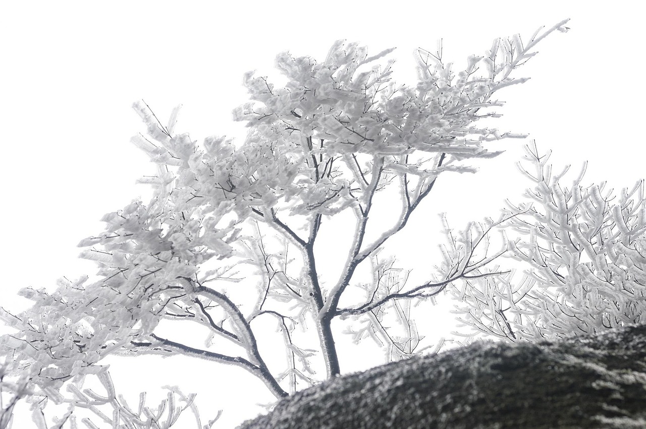 中国传统水墨山水画，艺术瑰宝的展现图片